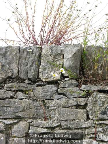 Sligo Cemetery